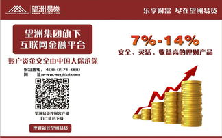 望洲易贷CEO林逢光 行业需正本清源，我们需自律——投资管理咨询的反思与行动